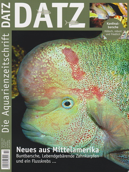 datz_11-2015_-_neues_aus_mittelamerika