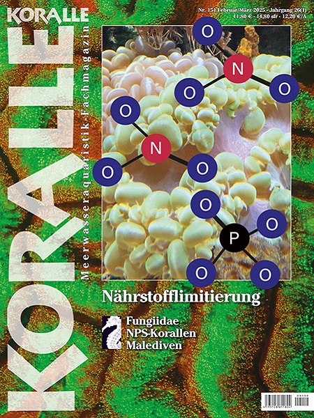 koralle_151_naehrstofflimitierung