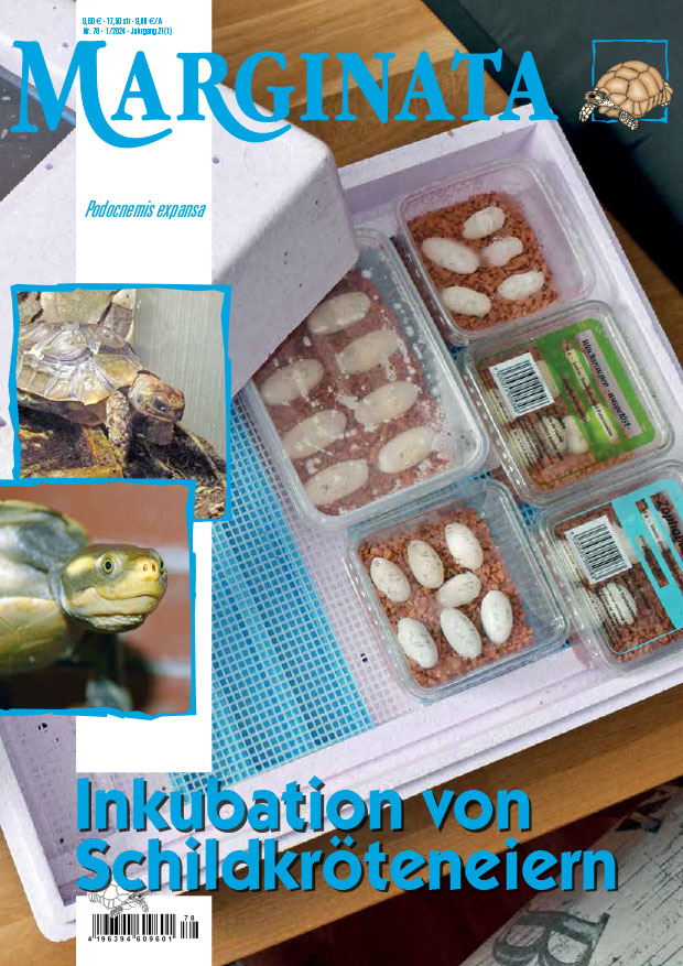 marginata_78_inkubation_von_schildkroeteneiern