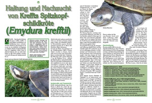 reptilia_140_-_asseln_als_futtertiere_und_terrarientiere_1